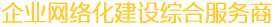 企業網絡化建設綜合服務商(shāng)